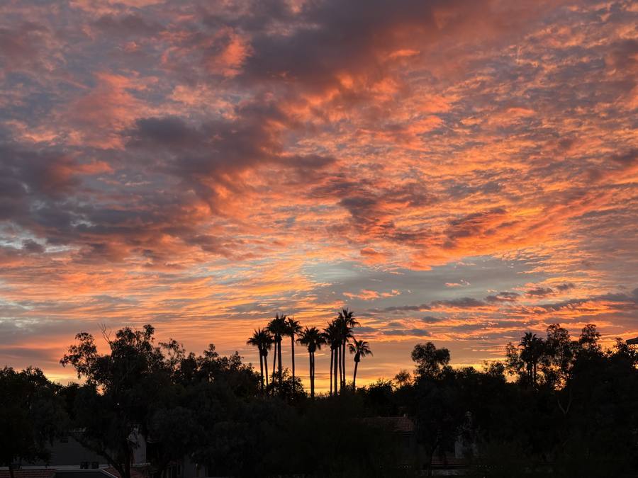 Arizona sunset